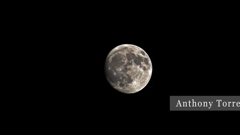 yourphotographeranthony