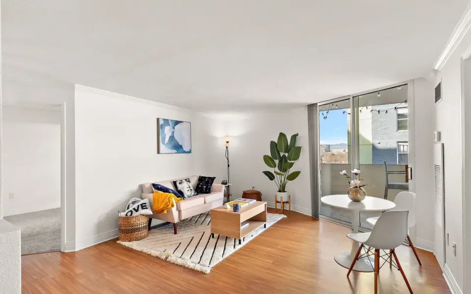 ALTO Real Estate Media