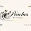 Peaches Visualz Photography