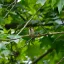 galliway.photo
